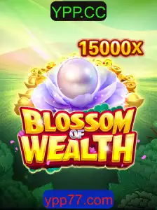 Explorando o Mundo de BlossomofWealth: Um Guia Completo