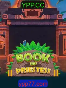Explorando o Fascinante Mundo de BookOfPriestess