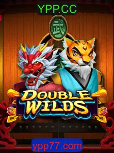 DoubleWilds: O Jogo Emocionante que Está Dominando o Cenário Atual